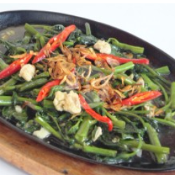 Kangkung Hotplate Polos