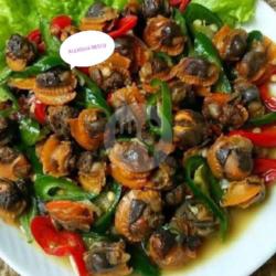 Kerang/totok Lombok Ijo