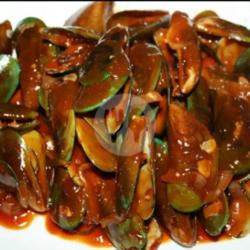 Kerang Hijau