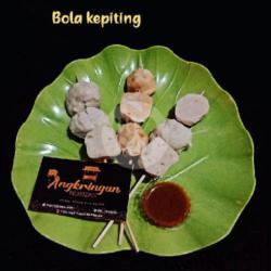 Bola Kepiting