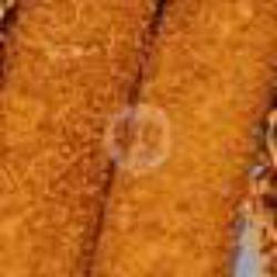 Corndog Full Sosis Ori