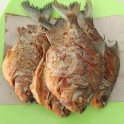 Ikan Bawal Goreng