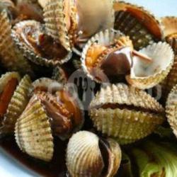 Kerang Dara Lada Hitam