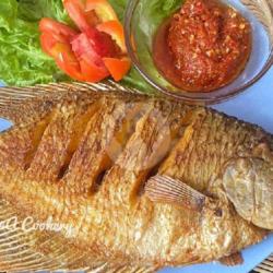 Gurami Goreng
