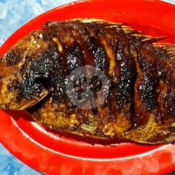 Ikan Kakap Merah Bakar