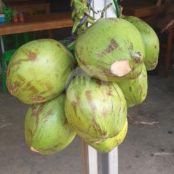 Kelapa Degan