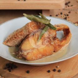 Ikan Kakap Merah Taucio