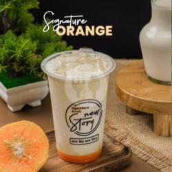 Signature Orange New Story