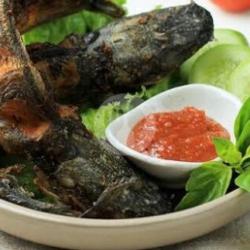 Lele   Sambal   Lalap.