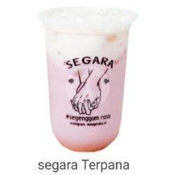 Segara Terpana