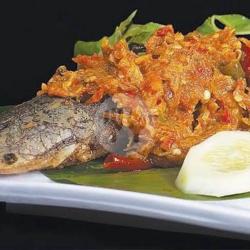 Lele Sambal Terasi   Nasi  Tahu Tempe