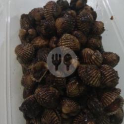 Kerang Dara Lada Hitam