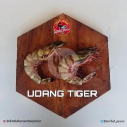 Udang Tiger - 5ons