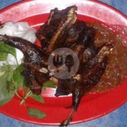 Burung Dara Goreng