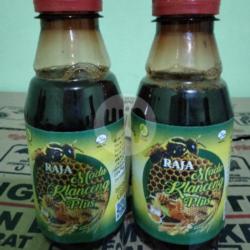 Madu Klanceng