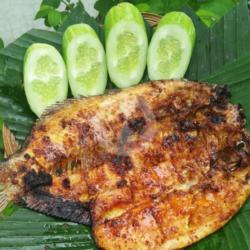 Ikan Bakar Madu Gurame Bucin