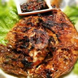 Ikan Kakap Merah Tanda