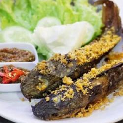 Nasi Liwet   Lele Goreng Kremes   Sambal Lalapan