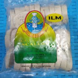 Scallop Ilm 500 Gr