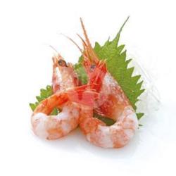 Ama Ebi Sashimi