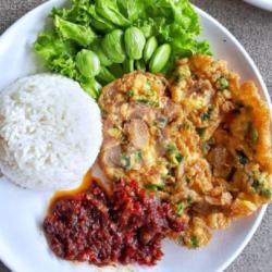 Nasi Telur Dadar Bumbu Gule