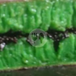 Pandan Coklat Kacang