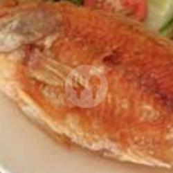 Ikan Nila Merah Goreng