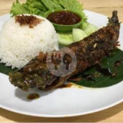 Lele Bakar Penyet   Nasi