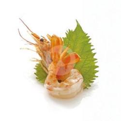 Botan Ebi Sashimi