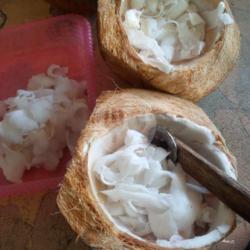 Daging Kelapa Muda Isi Satu Box Harga 20rb