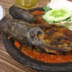 Penyetan Ikan Lele Tahu Tempe Terong