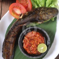 Lele Bakar