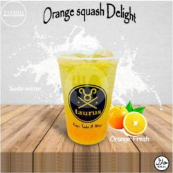 Orange Squash Delight