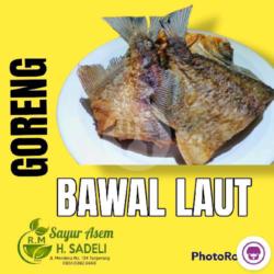 Ikan Bawal Laut Goreng