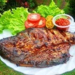 Patin Bakar Kecap Cengek