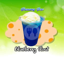 Blueberry Float