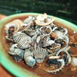 Kerang Dara Saus Tiram