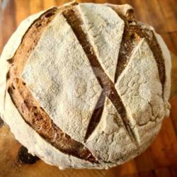 Whole Wheat Sourdough Bread