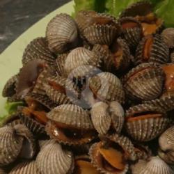 Kerang Darah Rebus