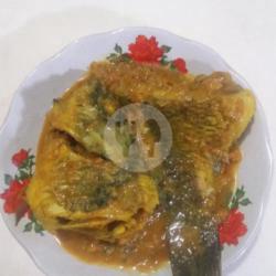 Ikan Mas Gule Kuning