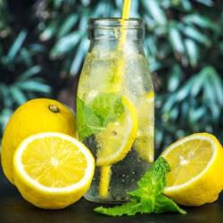 Infused Water Lemon Daun Mint Sehat