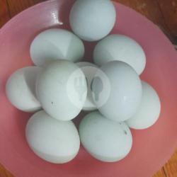 Telor Asin