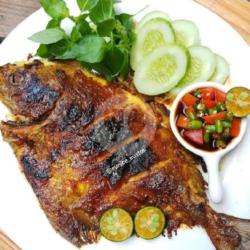 Ikan Bawal Bakar Madu