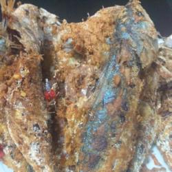 Ikan Kembung Goreng / Balado