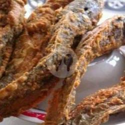 Nasi Ikan Lele Goreng