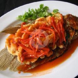 Ikan Gurame Mentega