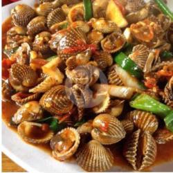 Kerang Dara Rica