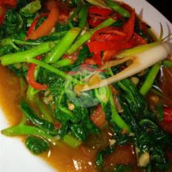 Kangkung Balacan