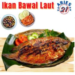 Bawal Laut Bakar