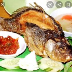 Ikan Mas Kremes